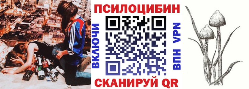 Галлюциногенные грибы Cubensis  Бородино 